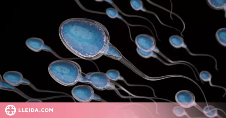 Es pot millorar la qualitat del semen?
