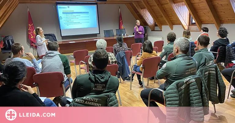 Cursos de llenguatge inclusiu per als treballadors administratius de l'Aran