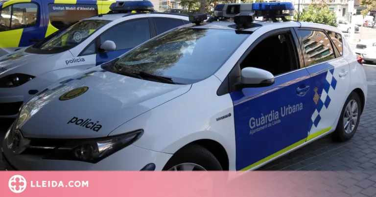Detinguts a Lleida l'autor d'un robatori dins d'un cotxe i un home que li va recriminar els fets