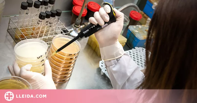 La UdL, la tercera a l'Estat en biologia i agronomia al rànquing Research.com