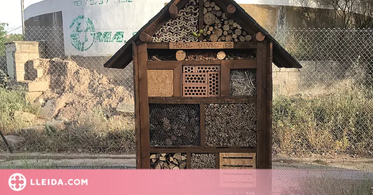 Impulsen un projecte per naturalitzar la depuradora i afavorir la biodiversitat a Cervera