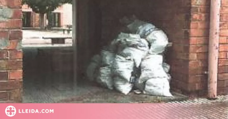 Enxampat abocant múltiples sacs de runa a la Mariola