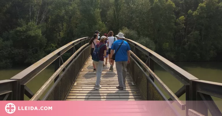Visita guiada a La Mitjana per conèixer les plantes del bosc de ribera