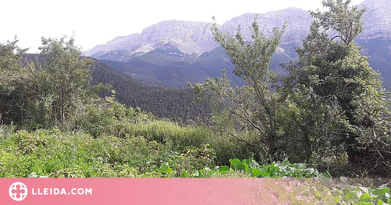 Neix l’Associació de varietats locals de la Cerdanya
