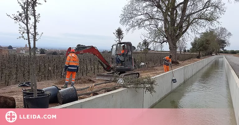 La prova pilot de modernització del Canal d'Urgell es presentarà a la Fira Sant Josep