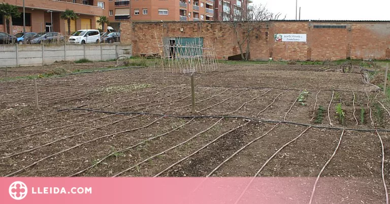 Tàrrega recupera el projecte d'horts urbans, ajornat l'any passat a causa de la covid-19