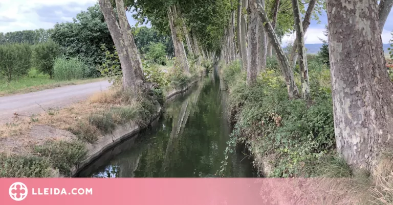 Les Borges instal·la una barrera de protecció a l’entorn del Canal d’Urgell