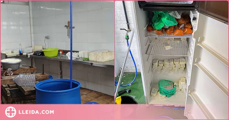 Precinten un local a Lleida que fabricava formatges sense cap control sanitari