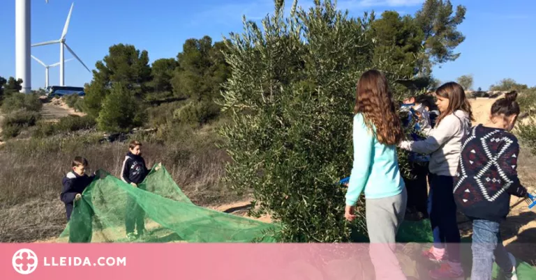 Tallers educatius aquest curs al Centre de l'Oli de la Granadella