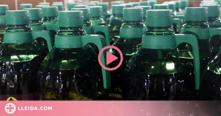 ⏯️ Cooperatives de les Garrigues registren un increment de venda d'oli d'oliva arran de la guerra