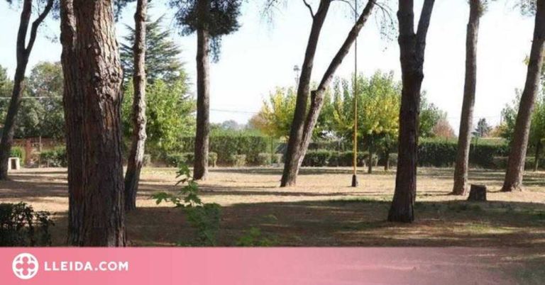 Sancionades set persones per muntar una festa a les Basses