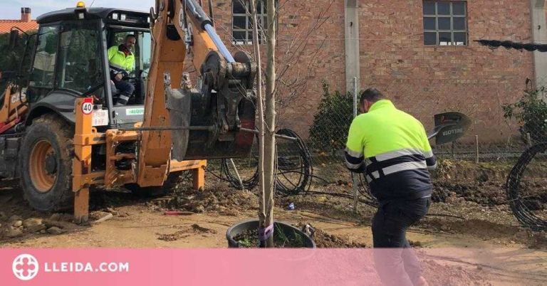 Torrefarrera planta 130 arbres al nou passeig per seguir fent una vila verda