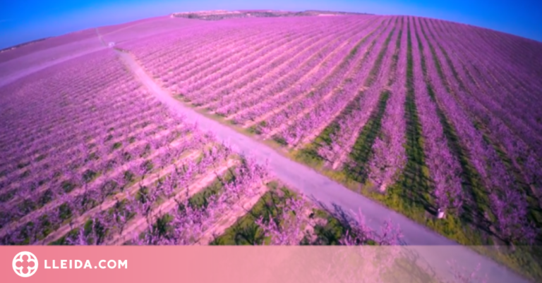 Lleida, seu del fòrum sobre la transformació digital en el sector agroalimentari