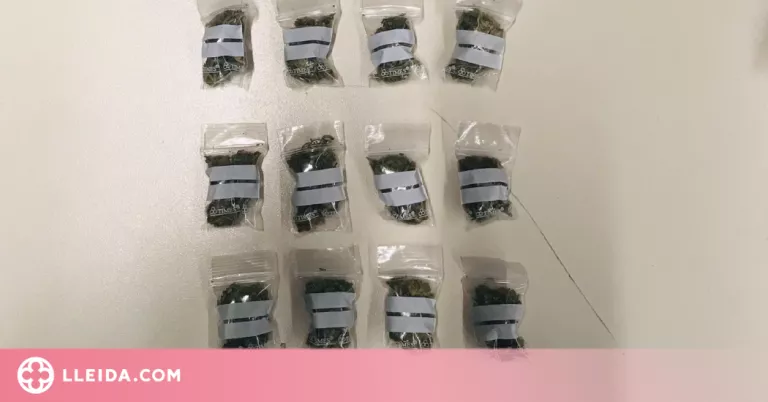 Detingut per dur a sobre 16 bossetes de marihuana preparades per a la seva venda a Lleida