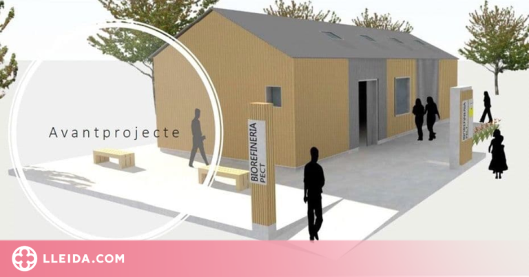 Balaguer acollirà una planta pilot de la UdL de reaprofitament de fusta