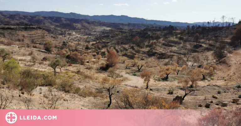 El canvi climàtic allargarà un mes la temporada de grans incendis arreu del món