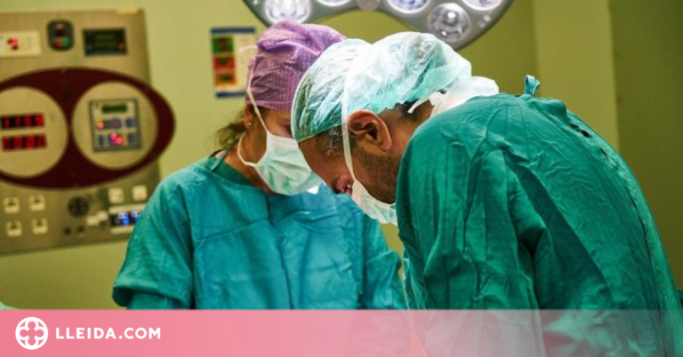 Un estudi adverteix dels riscos de l'obesitat en els candidats d'un trasplantament renal