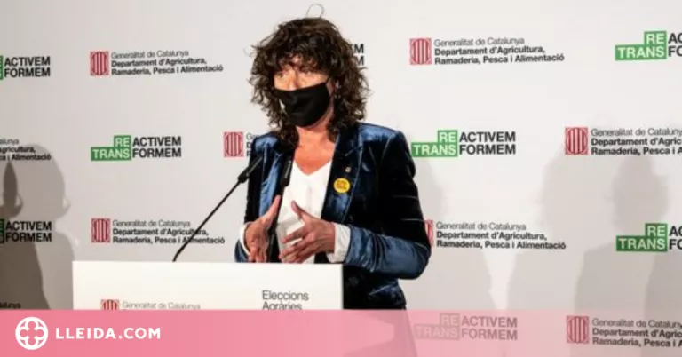 Habilitats 209 punts d'assistència per a les eleccions agràries en format electrònic