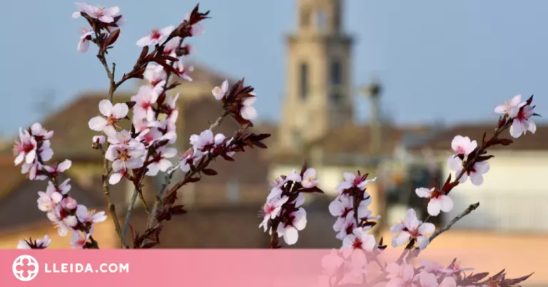 La floració d'arbres fruiters omple Ponent de rutes guiades