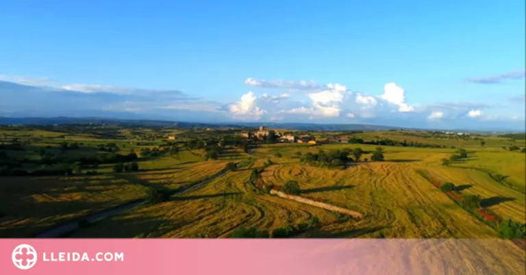 PIMEC demana mesures urgents per garantir l'aprovisionament del sector agroalimentari