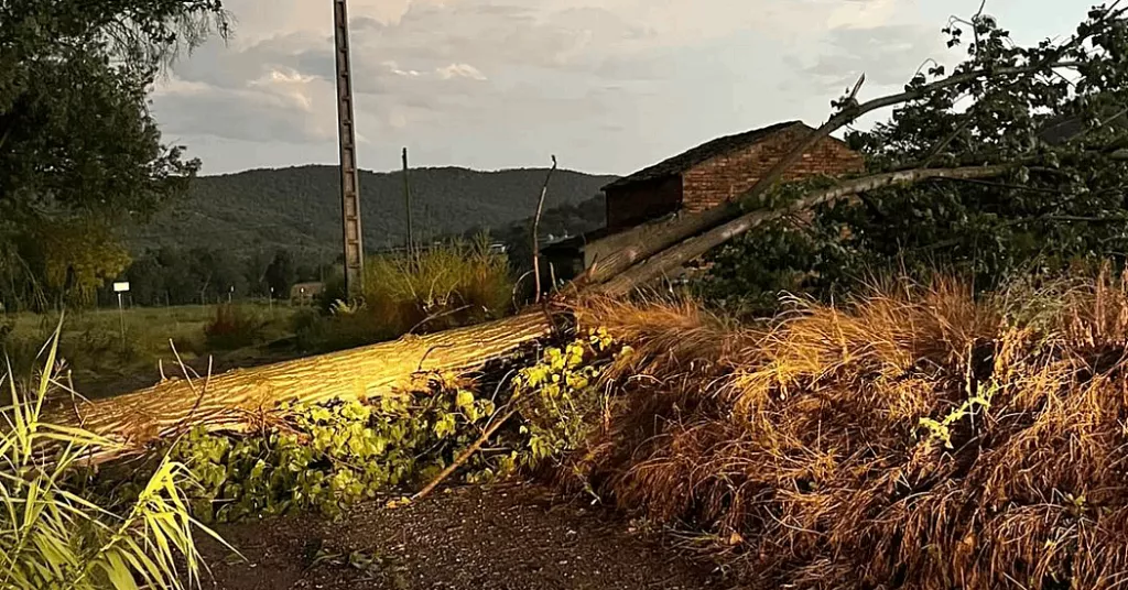 Una tempesta a Ponts causa desperfectes a la majoria dels carrers del poble