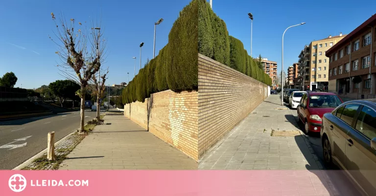 Balaguer plantarà arbres en els escocells buits de diferents zones de la ciutat