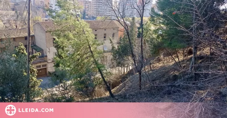 Balaguer du a terme actuacions de neteja i desbrossament per a la prevenció d'incendis
