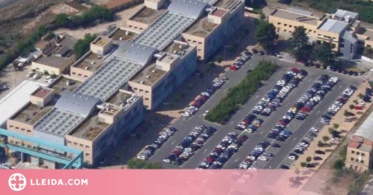 El PCITAL recull en un butlletí les activitats més rellevants del 2020