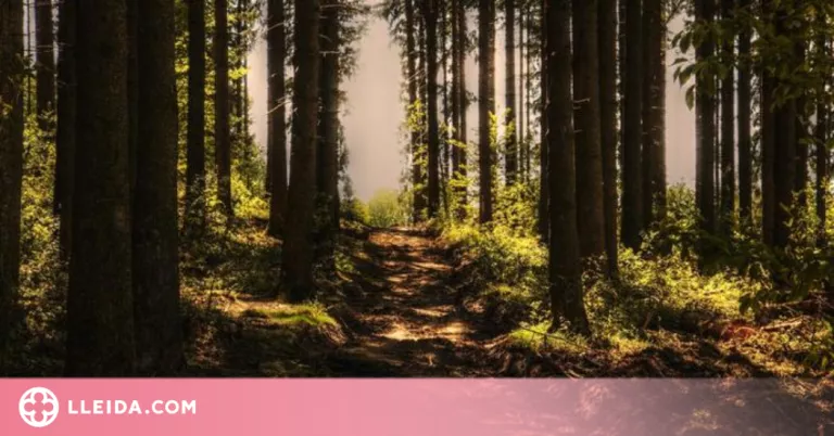 Un estudi parla del benefici dels espais verds durant el confinament per la salut mental