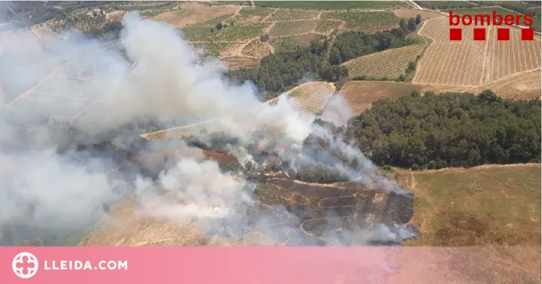 Dos incendis cremen vegetació agrícola a la Segarra i l'Alt Penedès