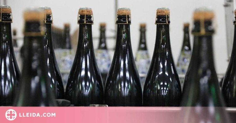 Investiguen la millora la qualitat dels espumosos amb l'ús de taps de suro durant la fermentació