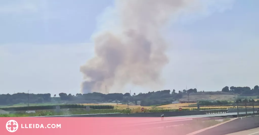 Dos incendis cremen unes 13 hectàrees de camps a Alcarràs i Balaguer