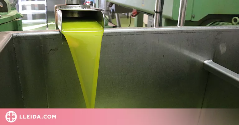 ⏯️ Lleida enceta una campanya de l'oliva marcada per la caiguda de producció i l'augment de costos