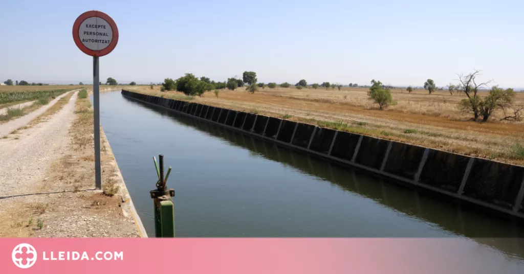 ⏯️ Els regants del canal d'Urgell tornen a rebaixar la dotació del reg