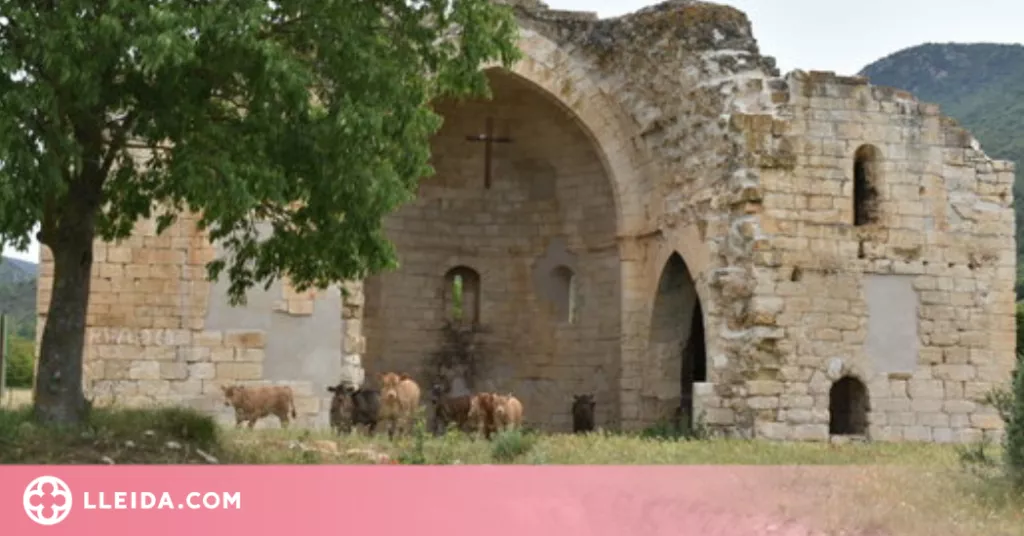 Una quinzena de vaques ocupen un monestir de la Noguera