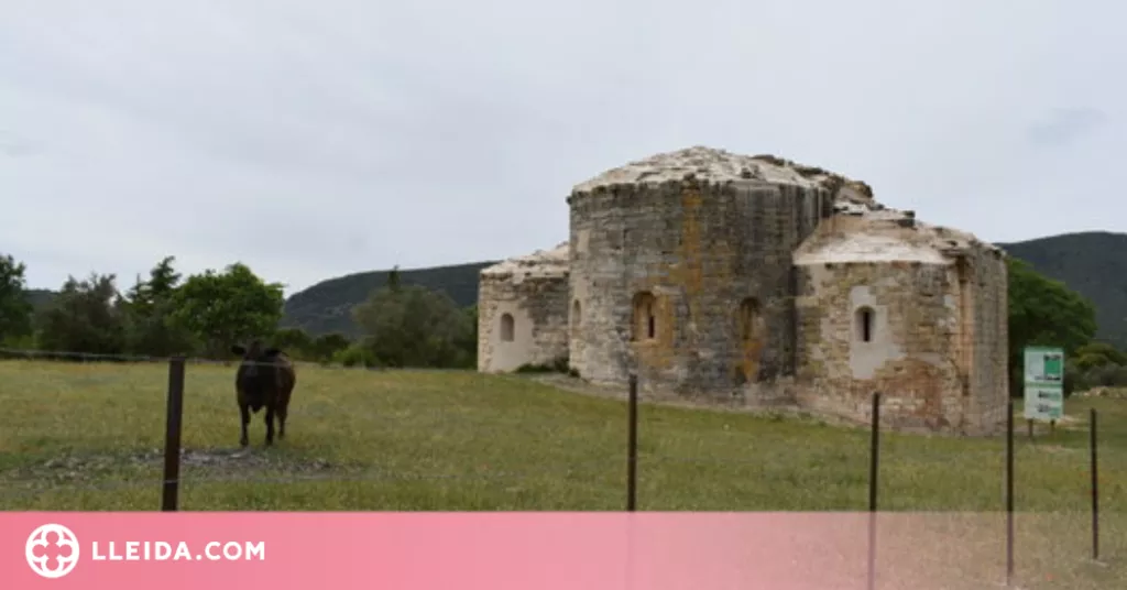 Una quinzena de vaques ocupen un monestir de la Noguera