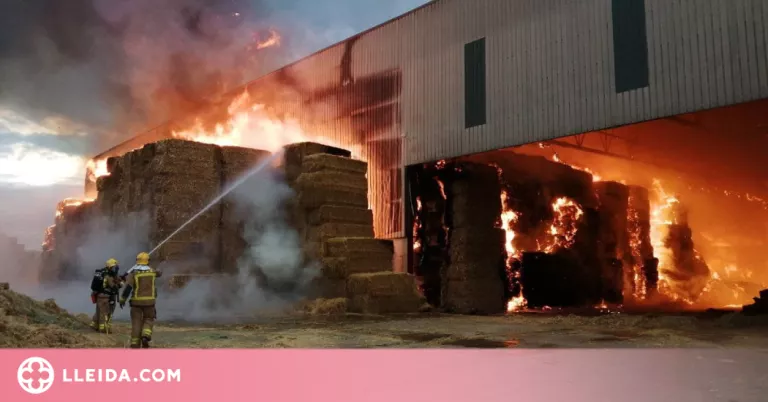 Incendi en una nau agrícola de Vallfogona de Balaguer