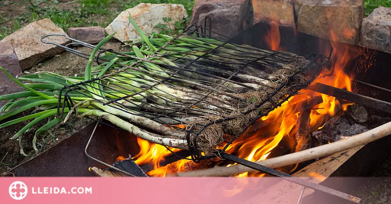 Temps de calçots: origen i tradició