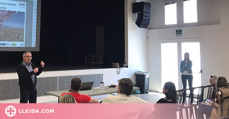 El Consell Comarcal del Segrià organitza quatre trobades per elaborar el pla estratègic 2023-2027