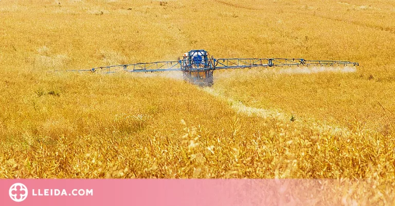 Uns 11.000 pagesos de Lleida rebran ajuts de 10 M€ per compensar els preus dels fertilitzants