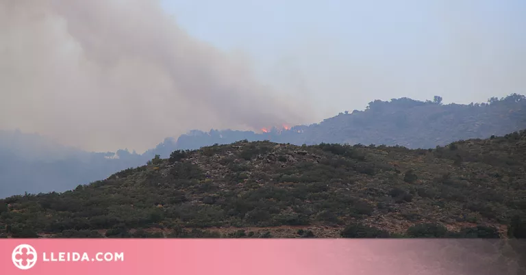 ⏯️ Els Bombers donen per estabilitzat l'incendi de la Catalunya del Nord