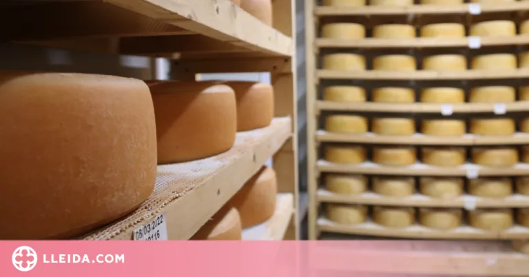 ⏯️ El món del formatge artesà a Catalunya "viu un moment dolç"