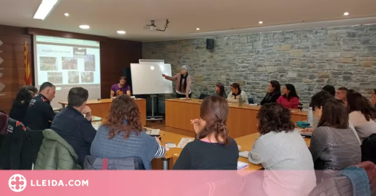 La Taula de Salut mental de l'Alta Ribagorça defineix les línies d'acció del 2024