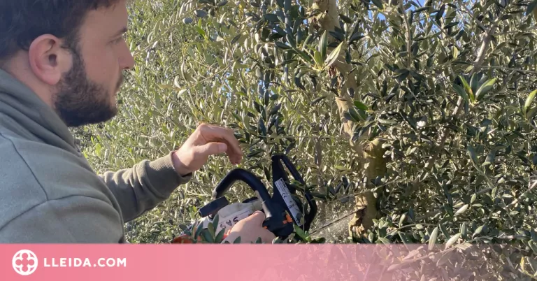 JARC demana una modificació de la normativa de crema de restes vegetals