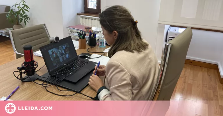 Aran proposa la modificació de la Llei de llengües oficials a l'escola
