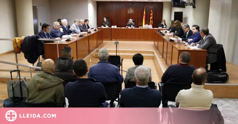 Els acusats de vendre cries de falcó robades al Solsonès accepten entre 6 mesos i 3 anys de presó