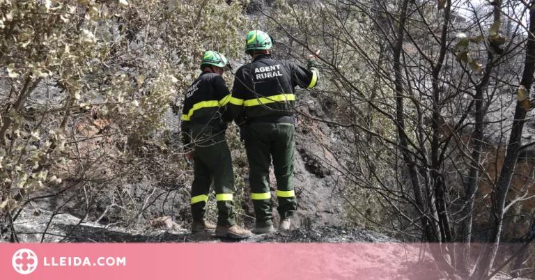 El govern espanyol declara zona catastròfica les àrees de Catalunya incendiades