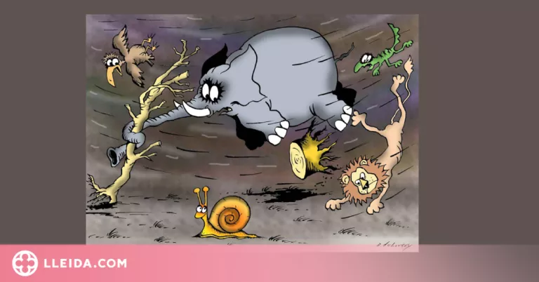 La Fecoll convoca el XV Concurs Internacional d’Humor Gràfic Caragoler