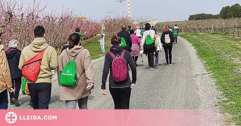 Corbins celebra una nova caminada entre les flors