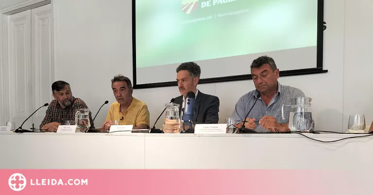 Unió de Pagesos denuncia Mercadona, Bonpreu i Lidl per "fixar els preus de la llet de marca blanca"